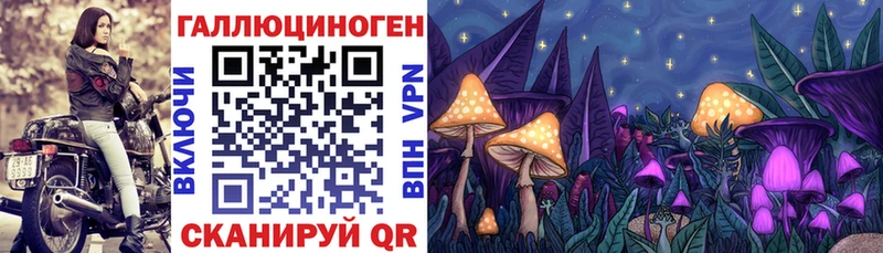 Купить где  Называевск  Псилоцибиновые грибы Psilocybine cubensis 